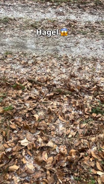 Heute hat es gehagelt. #E1 #wandern #Wetter #Schleswigholstein