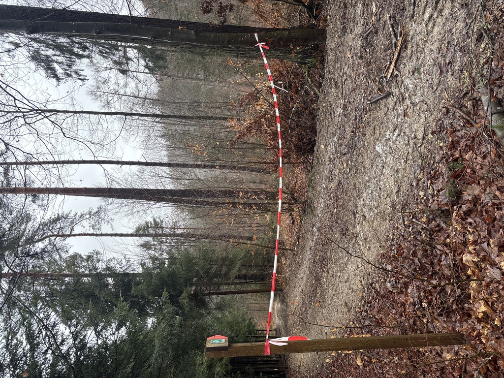 Abgesperrter Waldweg