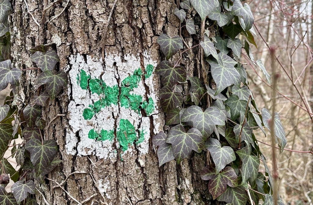 Wegmarkierung für den E1 im Bereich des Odenwaldclubs.