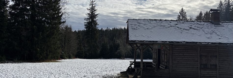 Hütte auf verschneiter Lichtung