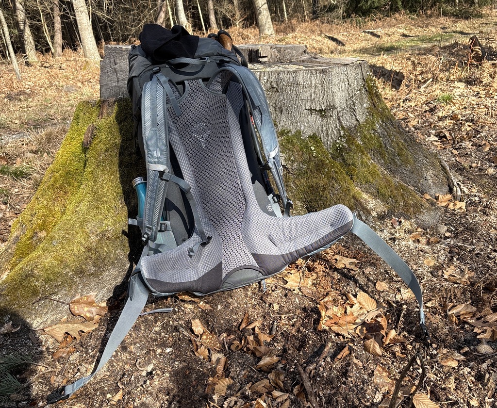 Wanderrucksack lehnt an einem Baumstumpf