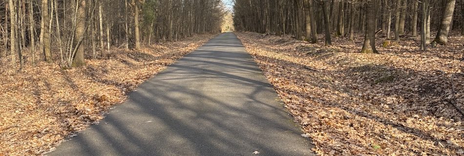 Asphaltierter Waldweg im Elsass