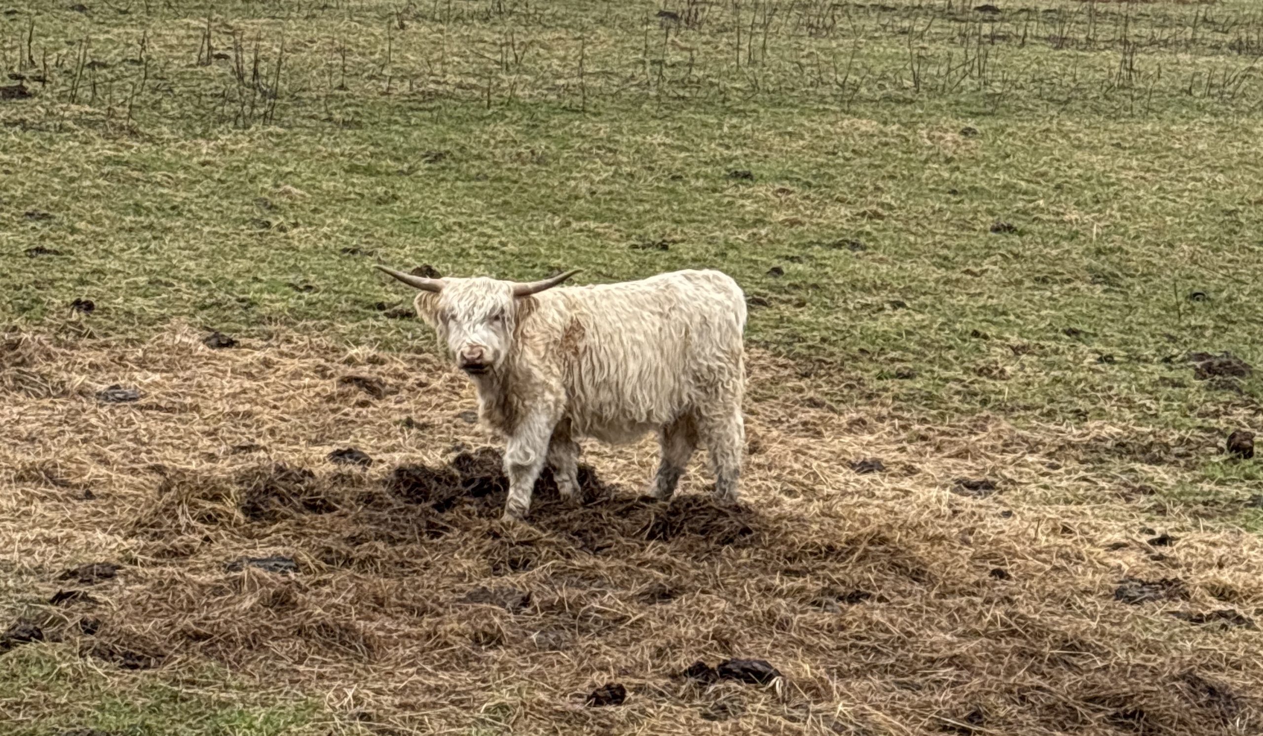 Tierische Begegnungen