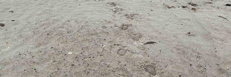 Stiefelspuren auf Sandstrand