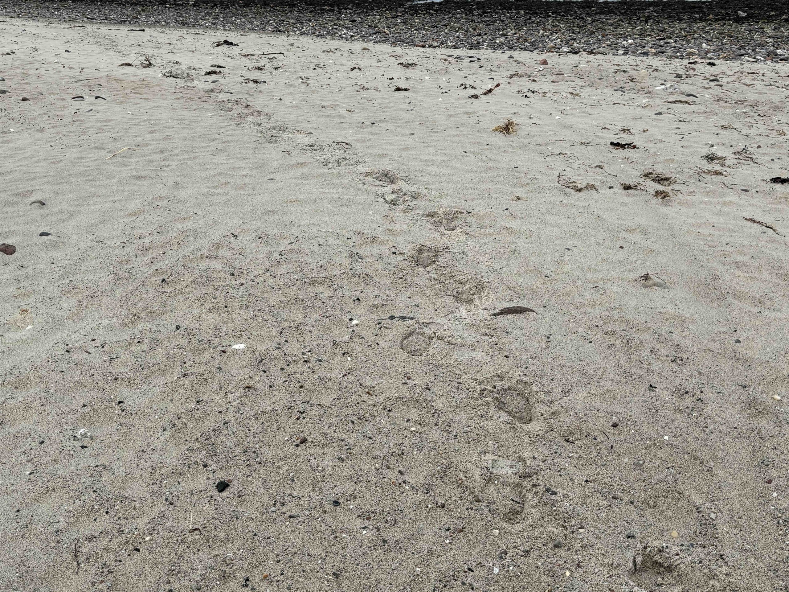 Sand, Kies, Anstiege